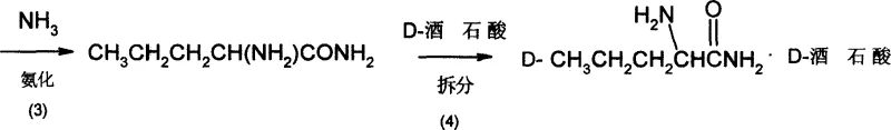 Reaction scheme depicting ammoniation to form racemic amide and chiral resolution with D-tartaric acid