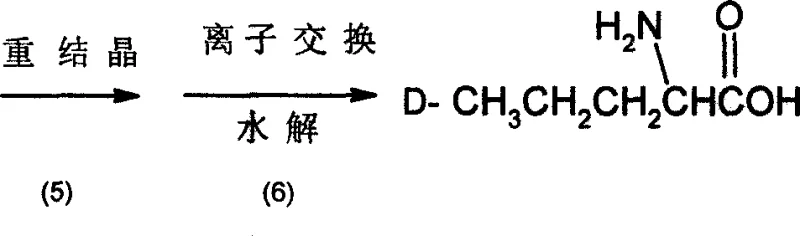 Reaction scheme illustrating recrystallization and ion-exchange hydrolysis to produce final D-norvaline
