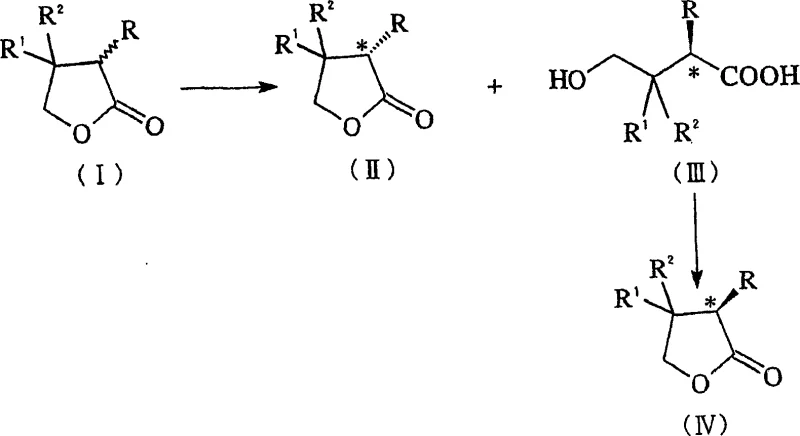 Reaction scheme showing the asymmetric hydrolysis of racemic pantolactone to D-pantothenic acid and L-pantolactone