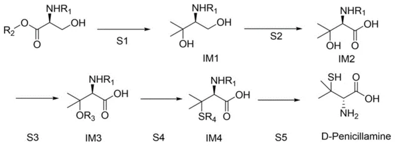 Five-step total synthesis route of D-Penicillamine from L-Serine derivative showing Grignard and Thioesterification steps