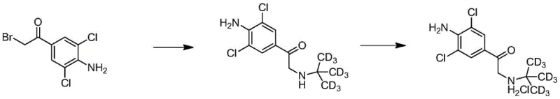 Step 2 Nucleophilic substitution with D9-tert-butylamine at room temperature
