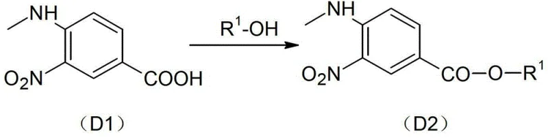 Esterification of methylamino-m-nitrobenzoate D1 to ester D2