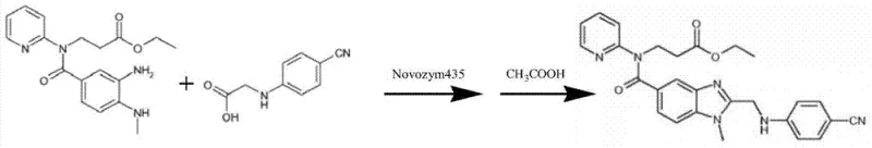 Enzymatic reaction scheme showing Novozym 435 catalysis followed by acetic acid cyclization to form the target intermediate