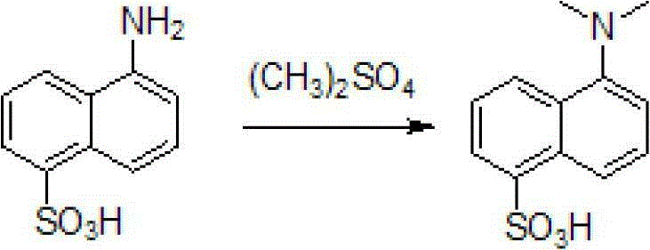Chemical reaction scheme showing the N-methylation of 1-naphthylamine-5-sulfonic acid to form dansyl acid using dimethyl sulfate
