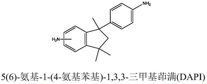 Chemical structure of 5(6)-amino-1-(4-aminophenyl)-1,3,3-trimethylindane (DAPI)