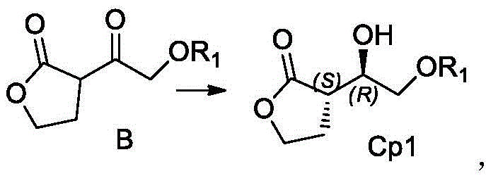 Enzymatic reduction reaction converting compound B to chiral intermediate Cp1 using aldehyde ketone reductase