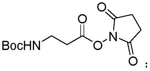 Chemical structure of the activated ester intermediate Boc-beta-Ala-OSU