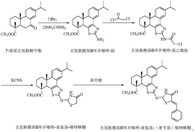 Complete synthetic route from methyl 7-carbonyl dehydroabietate to the final thiazolinone derivative