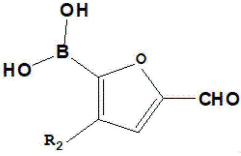 Structure of the furan boronic acid intermediate used in the Suzuki coupling reaction