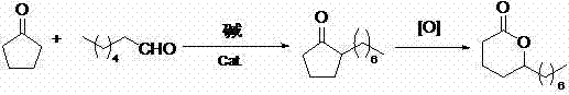 Reaction scheme showing one-pot aldol condensation and hydrogenation of cyclopentanone and heptanal to 2-heptylcyclopentanone followed by oxidation to delta-dodecalactone