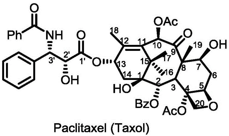 Chemical structure of Paclitaxel showing the core taxane skeleton and side chains