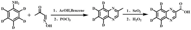 Synthetic route showing condensation of labeled aniline and oxidation to quinoxaline-2-carboxylic acid