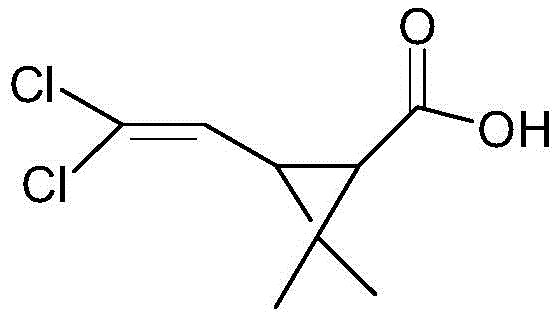 Chemical structure of Dichlorochrysanthemic acid showing the cyclopropane ring and dichlorovinyl group