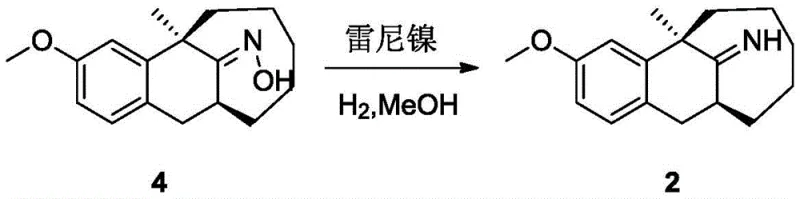 Prior art reaction scheme showing Raney Nickel hydrogenation leading to over-reduction issues