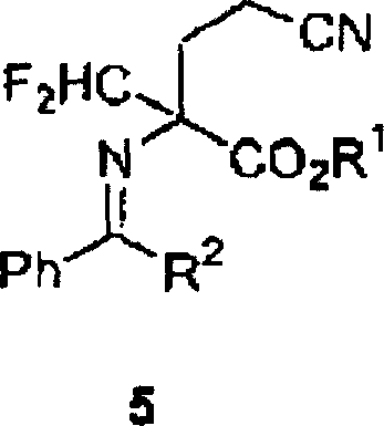 Chemical structure of the key difluoromethylated intermediate 5 formed via alkylation
