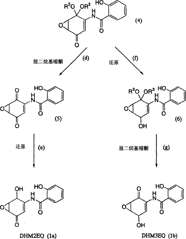 Complete reaction scheme showing synthesis pathways from intermediate 4 to DHM2EQ (1a) and DHM3EQ (1b)