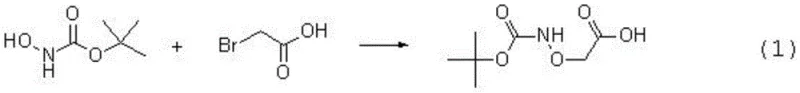 Reaction formula 1 showing the synthesis of tert-butoxycarbonyl aminooxyacetic acid from Boc hydroxylamine and bromoacetic acid