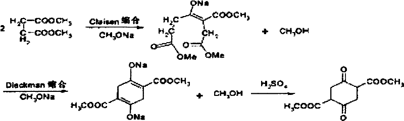 Reaction mechanism showing Claisen condensation and Dieckmann cyclization of dialkyl succinate to form dialkyl succinyl succinate using magnesium alkoxide catalyst