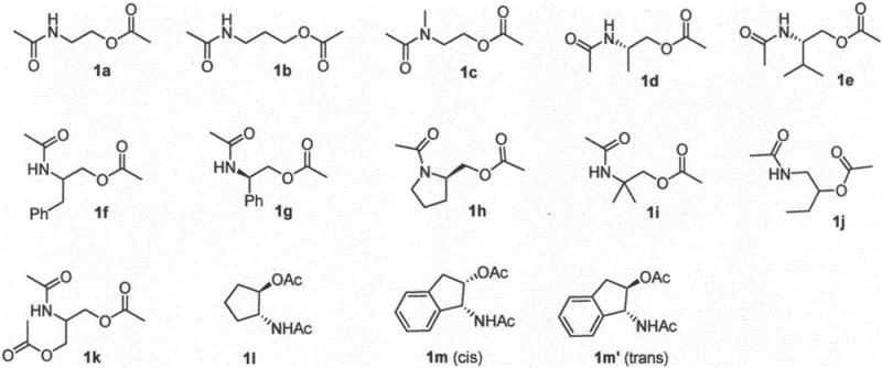 Structural diversity of amide ester substrates applicable in the synthesis