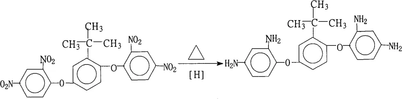 Chemical reaction scheme showing the reduction of dinitro precursor to diamine product using hydrazine and Pd/C catalyst