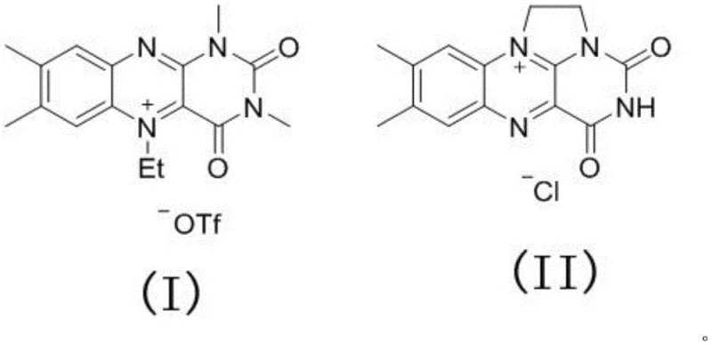 Chemical structures of Riboflavin I and Riboflavin II catalysts used in the transition-metal-free synthesis