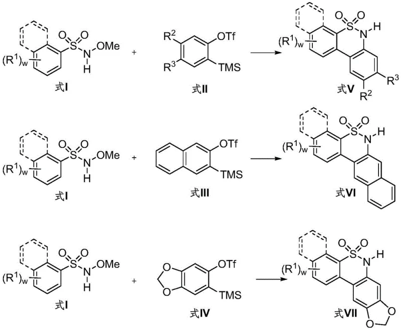 Reaction scheme demonstrating the synthesis of naphthalene-fused diarylsultams using the novel Pd-catalyzed method