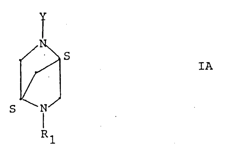 General chemical structure of 2,5-diazabicyclo[2.2.1]heptane derivatives (Formula IA)