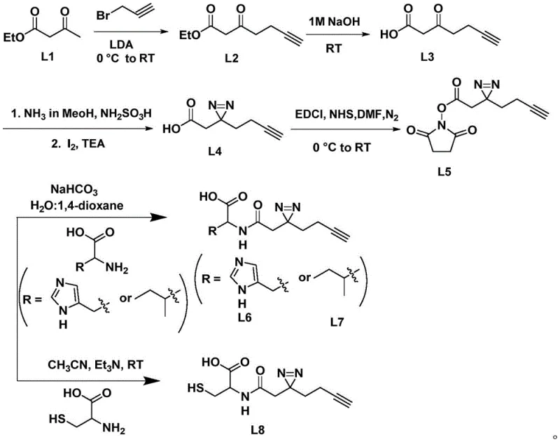 Complete synthetic route from ethyl acetoacetate L1 to target amino acid conjugates L6, L7, and L8