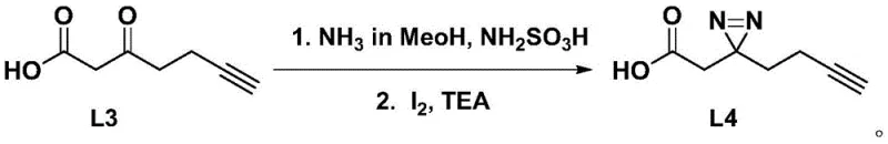 Reaction mechanism for the formation of diaziridine intermediate L4 from keto-acid L3