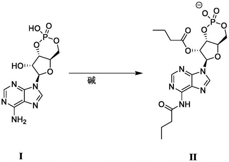 Reaction scheme showing the conversion of adenosine cyclophosphate (Formula I) to dibutyryl adenosine cyclophosphate anion (Formula II) via acylation
