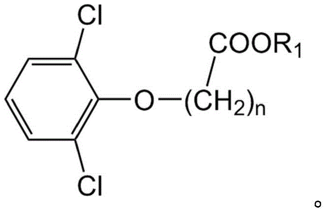 Structure of 2,6-dichlorophenoxyacid ester precursor