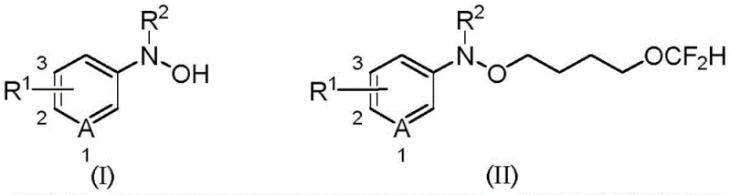 General reaction scheme for difluorobutoxylation of N-aryl-N-hydroxylamine compounds using THF and TMSCF2Br
