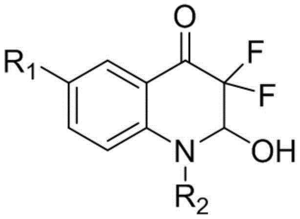 General structure of the novel difluoroquinolone skeleton with variable R1 and R2 substituents