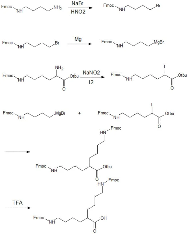 Complete reaction scheme for synthesizing DiFmoc-Lys (plus) via Grignard coupling