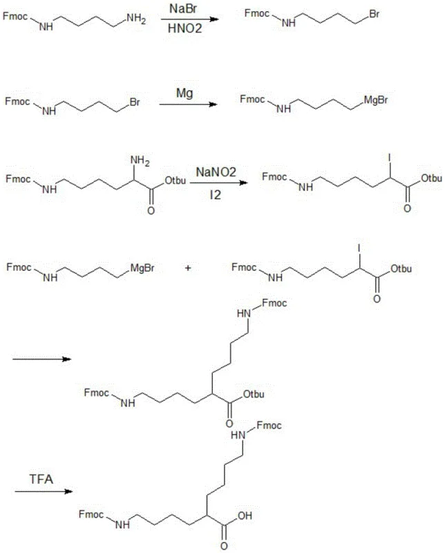 Complete reaction scheme for the synthesis of DiFmoc-Lys(plus) via Grignard coupling