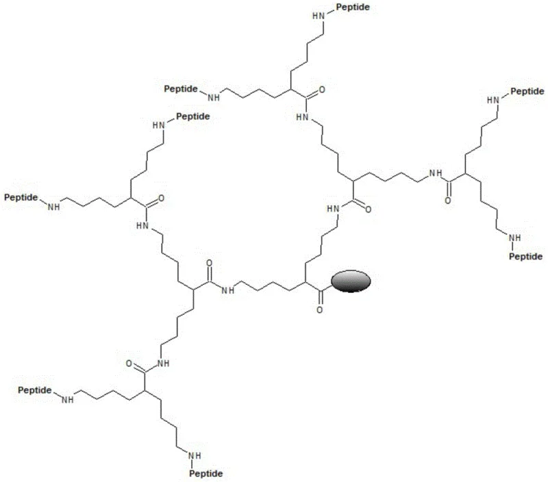 Structure of 8MAPS resin polypeptide showing multiple peptide chains attached to the symmetric core