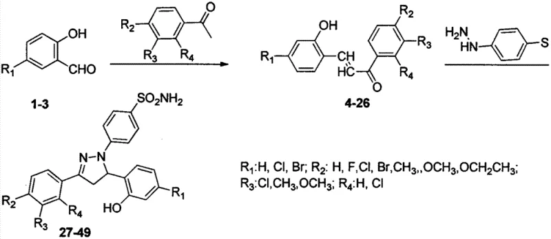General synthetic route for dihydropyrazole sulfonamide derivatives via chalcone intermediate