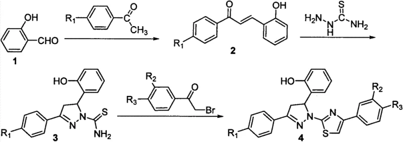 General synthetic route for dihydropyrazole thiazole derivatives showing three main reaction steps