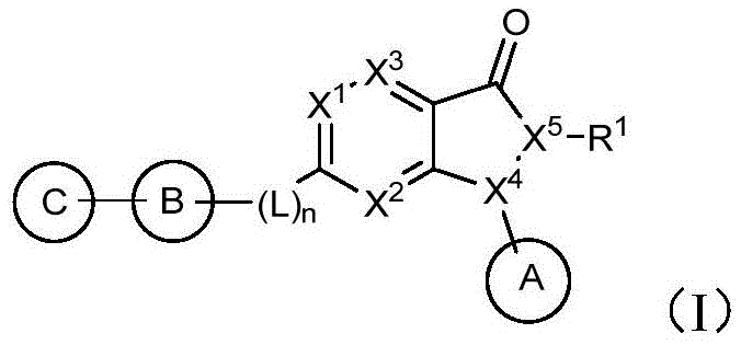 General Formula I of Dihydropyrazolopyrimidinone Wee1 Inhibitors