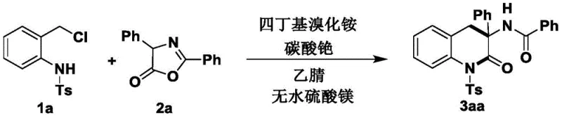 Specific reaction scheme for Example 1 showing the synthesis of dihydroquinolinone compound 3aa from starting materials 1a and 2a