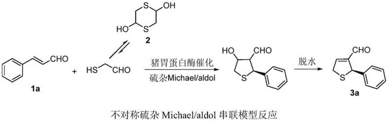 Model reaction scheme showing synthesis of compound 3a from cinnamaldehyde and dithiane