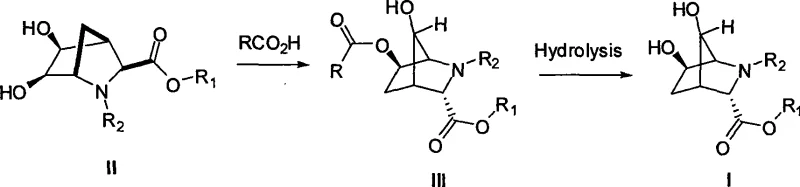 General synthetic route for dihydroxy-2-azabicyclo[2.2.1]heptane-3-carboxylic acid derivatives via Mitsunobu rearrangement