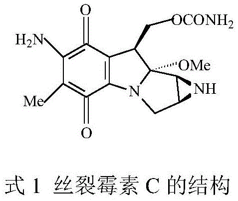 Chemical structure of Mitomycin C showing the critical p-benzoquinone mother nucleus targeted by the synthesis method