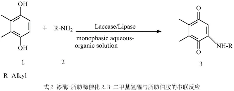 Reaction scheme showing laccase-lipase catalyzed tandem oxidation and C-N coupling of 2,3-dimethylhydroquinone