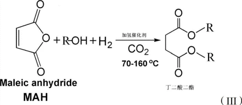 General reaction scheme (Formula III) showing Maleic Anhydride conversion to Succinic Acid Diester using ROH, H2, and CO2