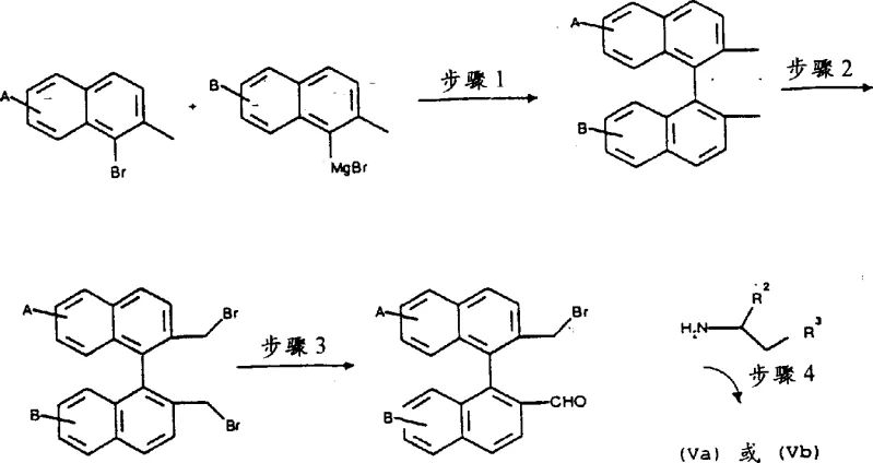 Multi-step synthesis route for precursors Formula VIa and VIb showing Grignard coupling and formylation steps