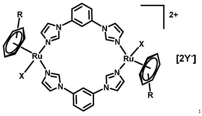 General structural formula of the dinuclear aryl ruthenium metal complex showing the bowl-shaped architecture with variable R and X groups