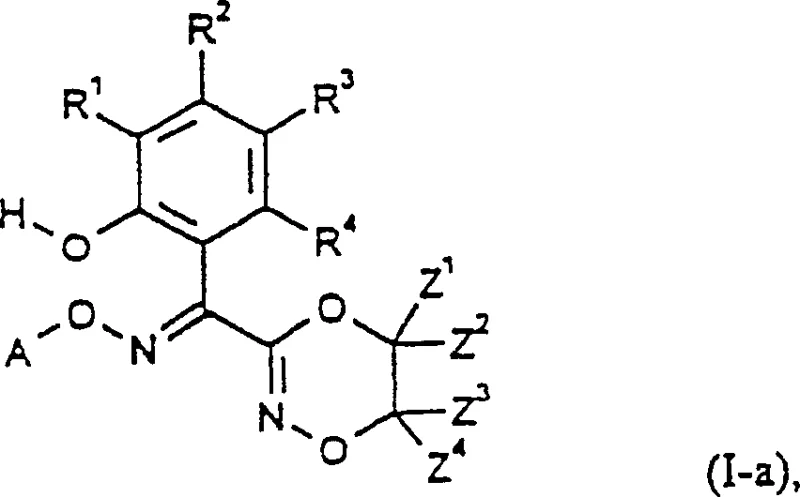 General Formula I-a showing the core 3-(1-hydroxyphenyl-1-alkoximinomethyl)dioxazine structure