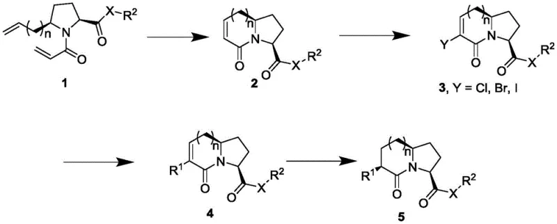 General synthetic route for azabicyclo alkanone dipeptide mimetics showing RCM, halogenation, coupling, and hydrogenation steps