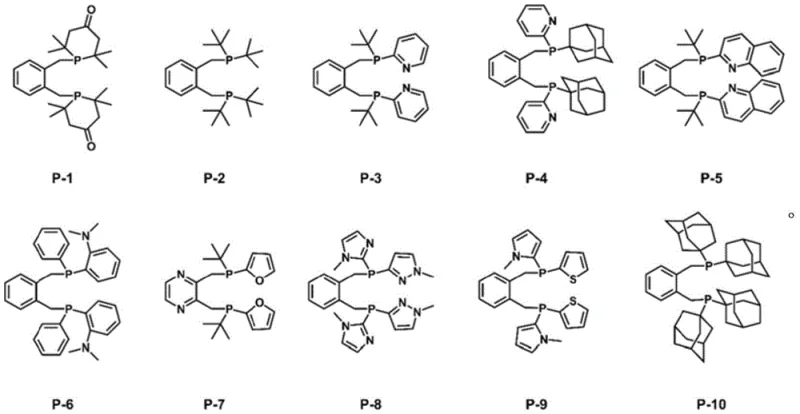 Specific examples of ortho-dimethyl aromatic ring diphosphine ligands P-1 to P-10 showing structural diversity